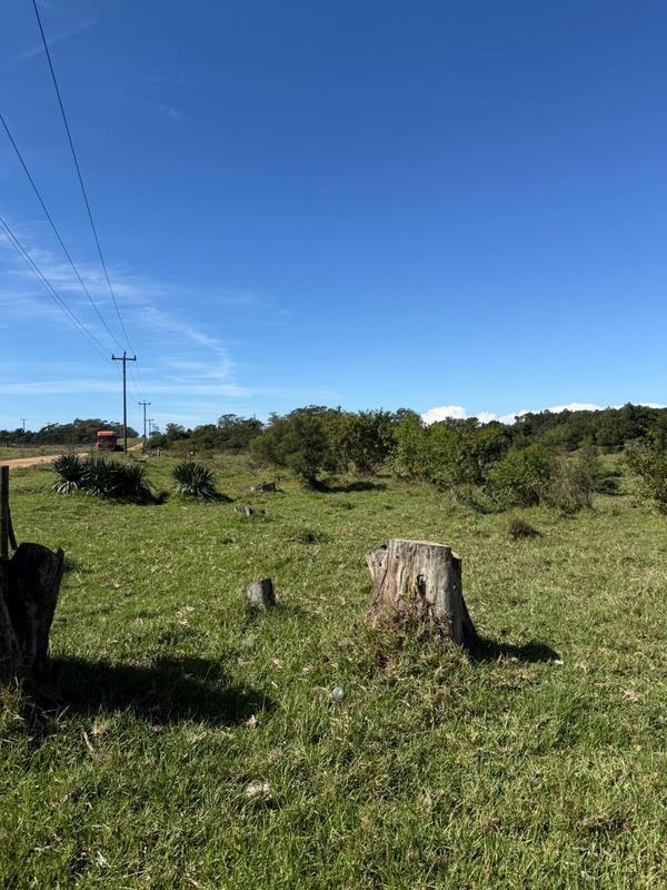 0 Bedroom Property for Sale in Little Chelsea Eastern Cape